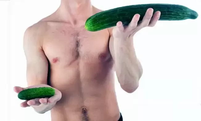 tamaño de pene pequeño y grande usando pepinos como ejemplo