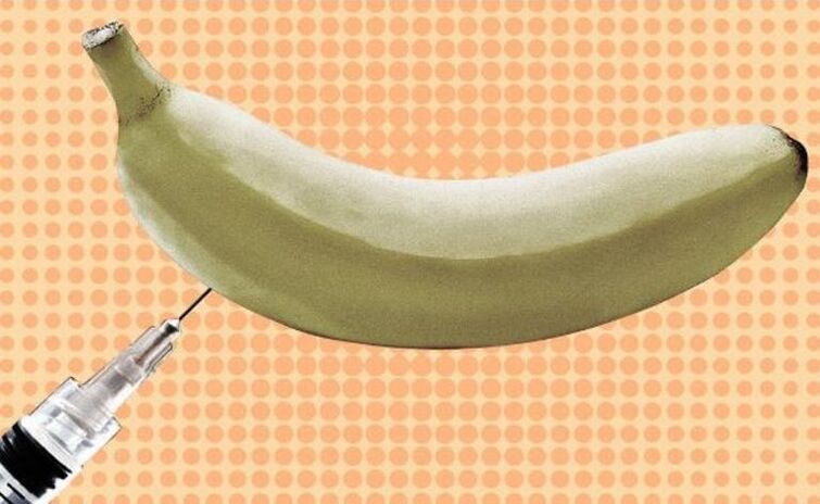 agrandamiento del pene por inyección usando un plátano como ejemplo